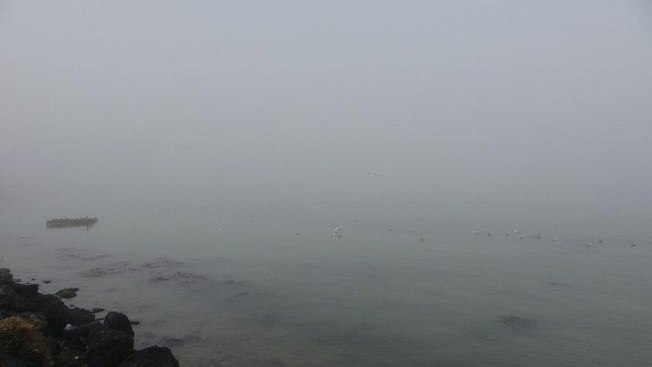 Çanakkale Boğazı yoğun sis nedeniyle trafiğe kapandı G5