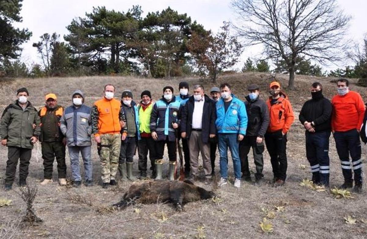 K&uuml;tahya&rsquo;daki s&uuml;rek avında 16 yabani domuz vuruldu