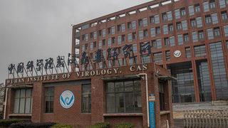 Koronavirüs laboratuvardan mı yayıldı? DSÖ üyesinden açıklama