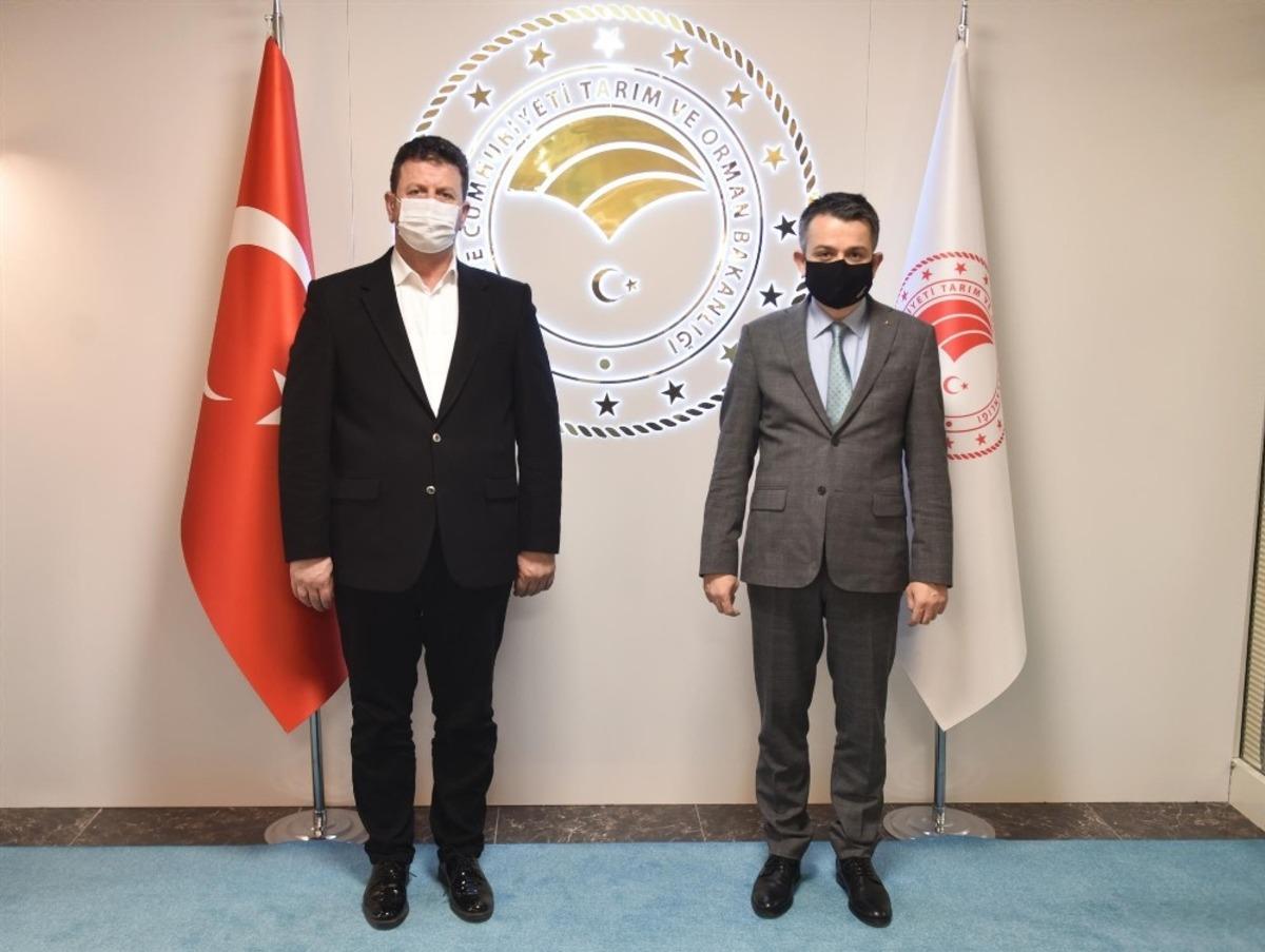 Tarım ve Orman Bakanlığında Akyazı&rsquo;ya kazandırılacak yatırım ve projeler konuşuldu