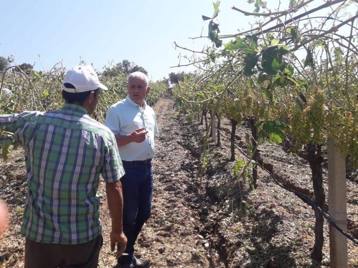 Ziraat Odası Başkanından sigorta uyarısı G1