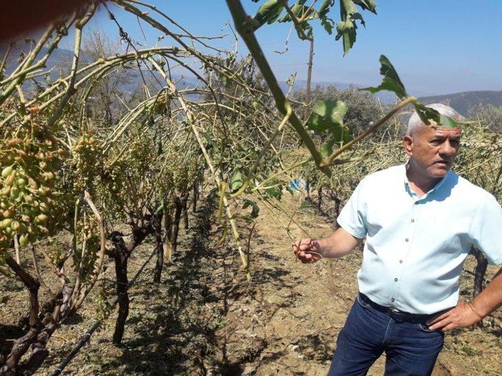 Ziraat Odası Başkanından sigorta uyarısı G5