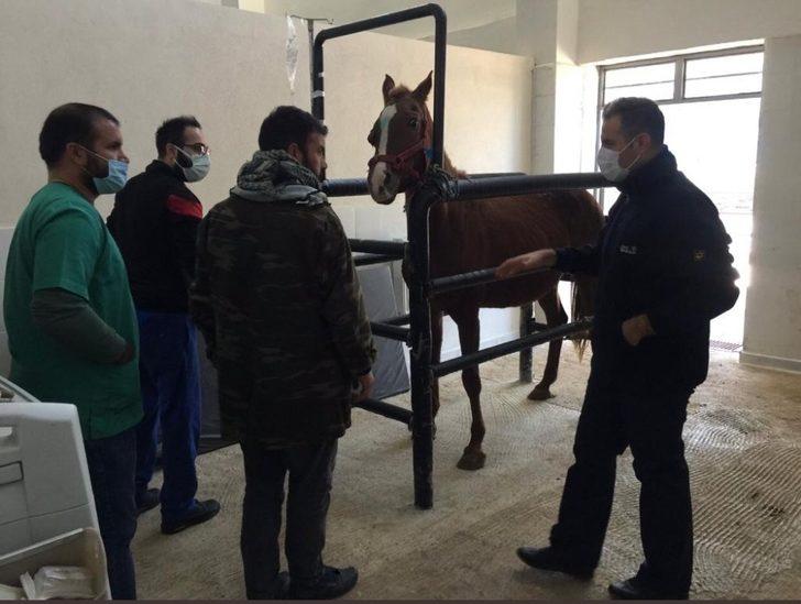 HRÜ Hayvan Hastanesi ruhsatını aldı G2