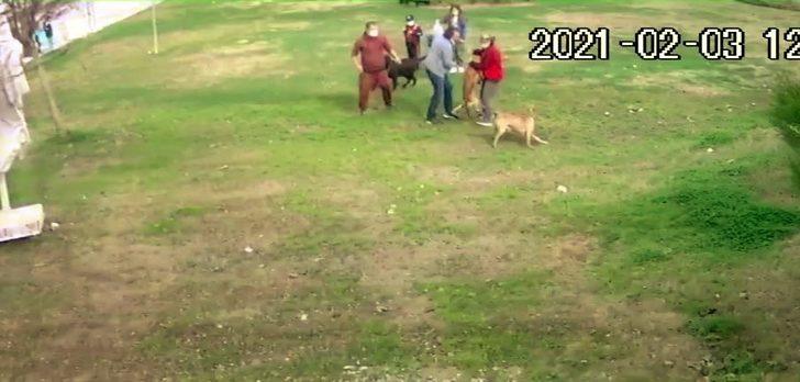 (Özel) Antalya’da Pitbull dehşeti G3