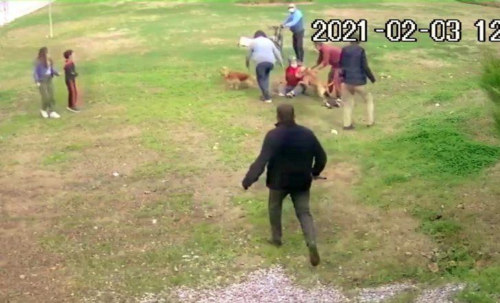 (Özel) Antalya’da Pitbull dehşeti G5