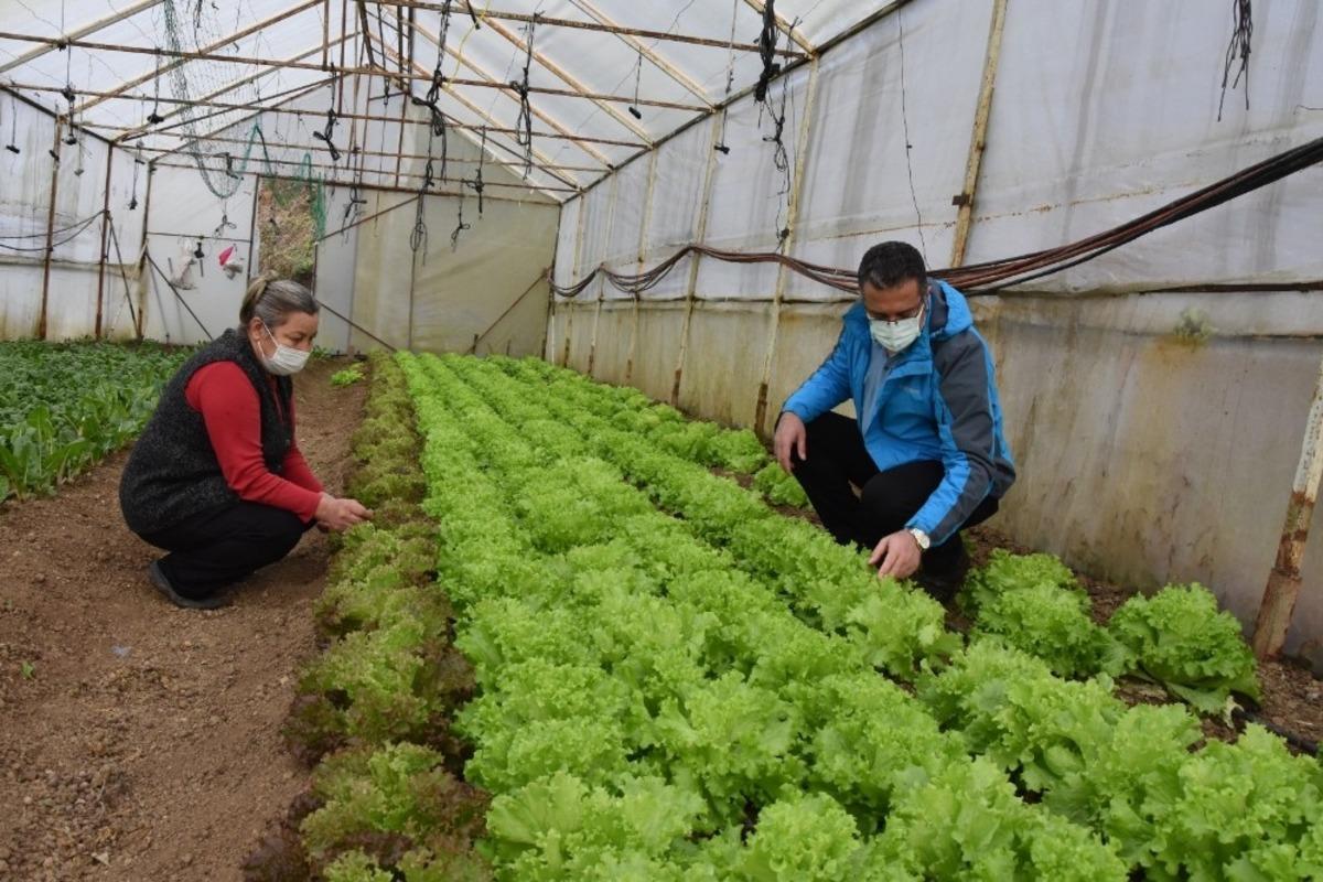 Ordu&rsquo;da seracılığın ekonomiye katkısı 30 milyon lira