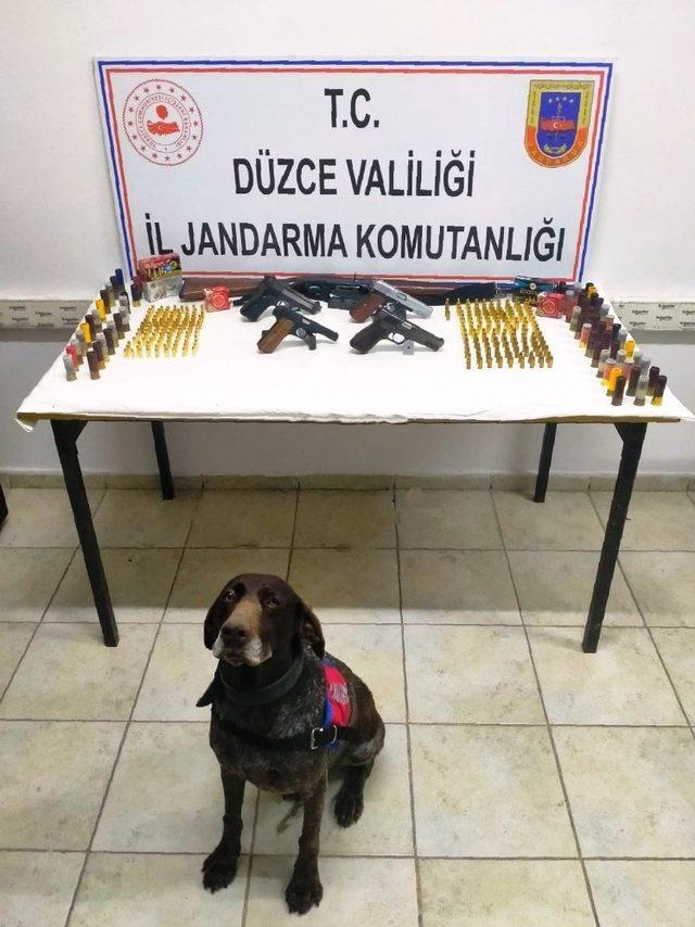 Silahları bomba arama köpeği buldu