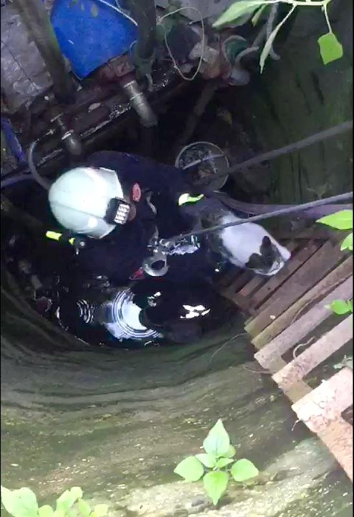 Kuyuya d&uuml;şen kedi itfaiye tarafından &ccedil;ıkartıldı