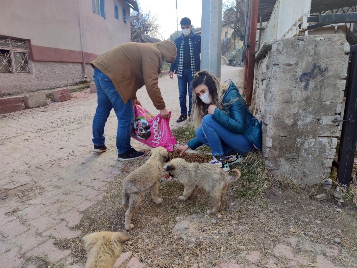 Sokak hayvanlarına yiyecek desteği