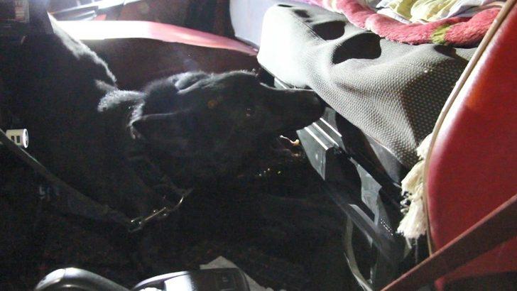 Mersin’de bir tırda 45.5 kilo eroin ele geçirildi G2