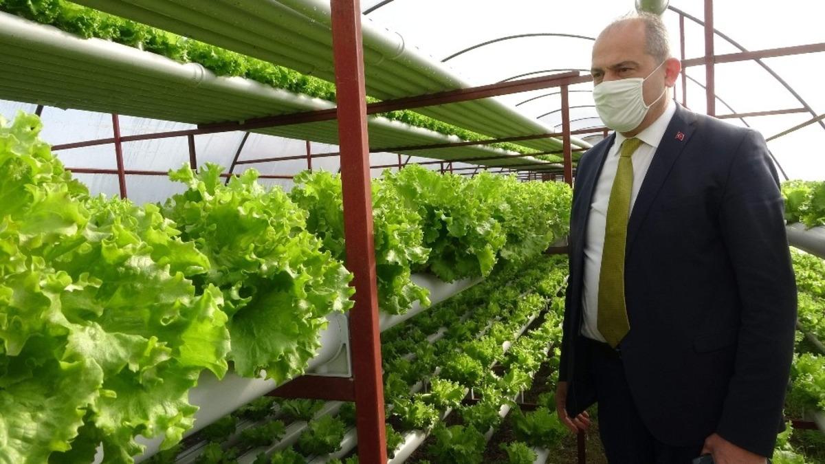 Pandemi d&ouml;neminde k&ouml;ylere yoğun bir şekilde d&ouml;n&uuml;ş&uuml;n olması tarıma hareketlilik getirdi