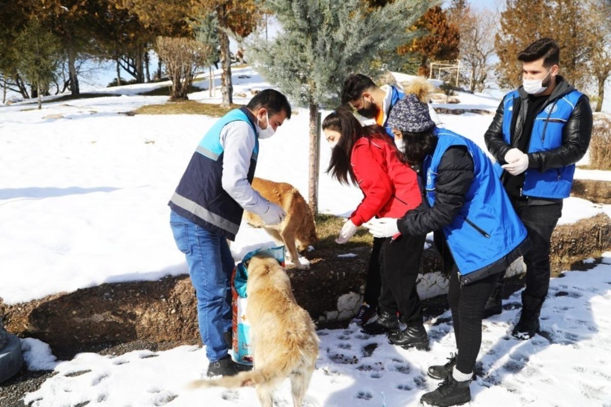 Battalgazi&rsquo;de sokak hayvanlarını unutulmuyor