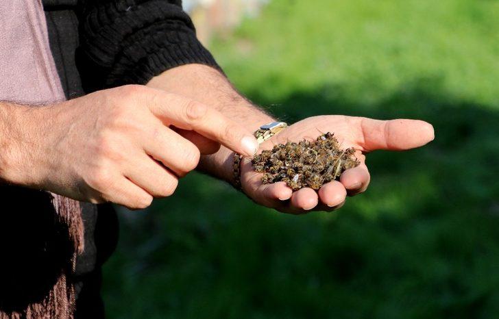 TAB Genel Başkanı Şahin; "Arılarımız ölmesin" G2