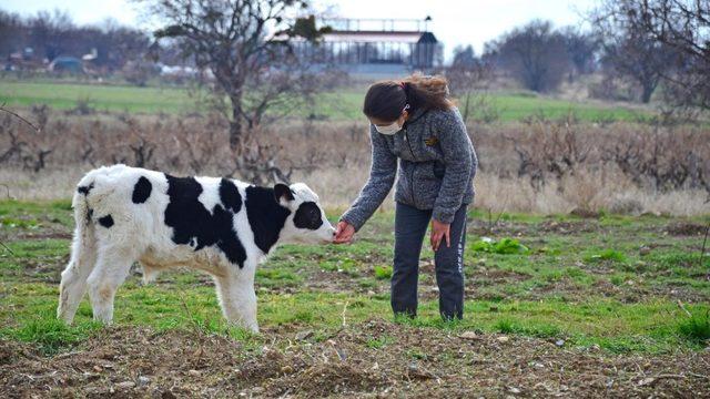 Genç Çiftçi Projesi üreticilere nefes olmaya devam ediyor
