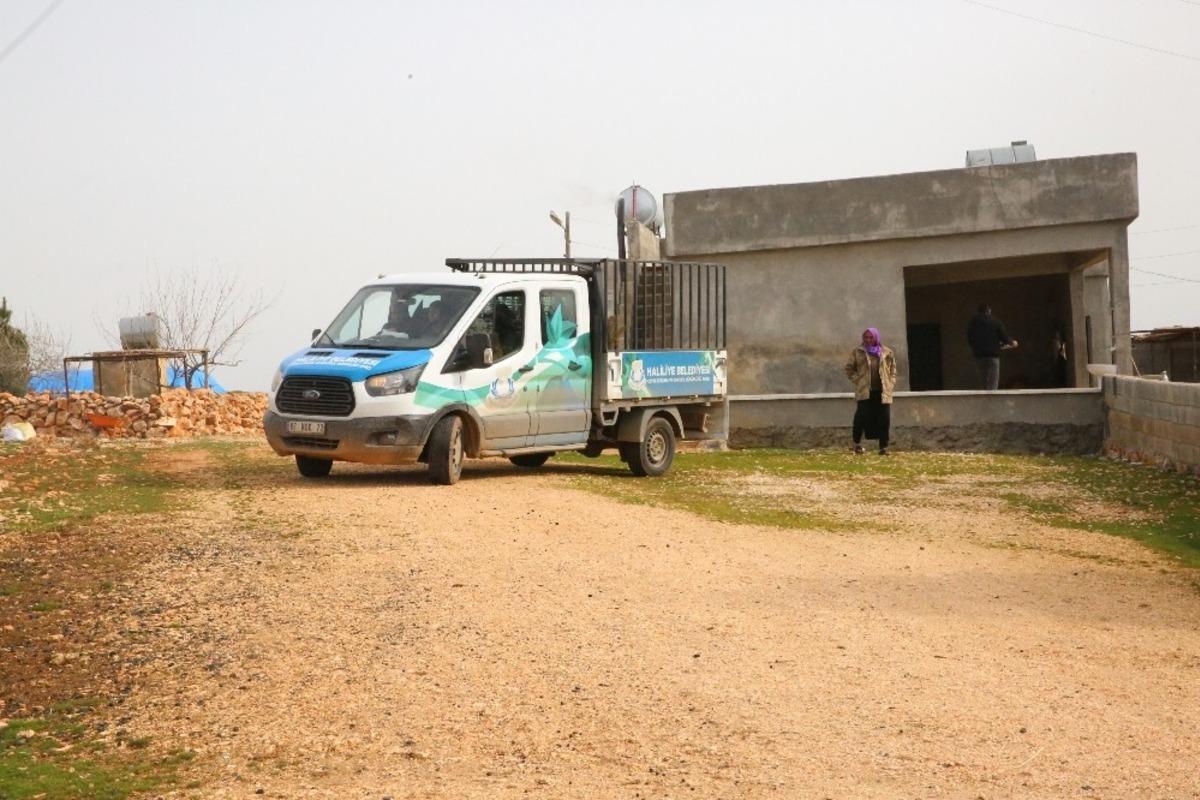Haliliye&rsquo;de yeşil seferberliği
