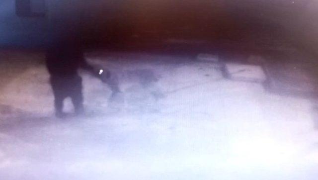 Mersin’de köpek hırsızlığı kameraya yansıdı 1