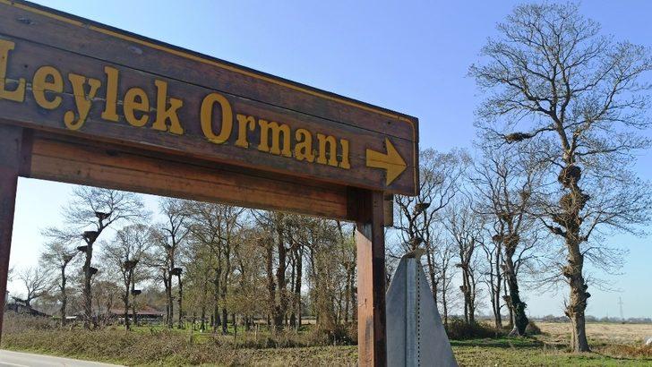 Leylek Ormanı misafirlerini bekliyor G2