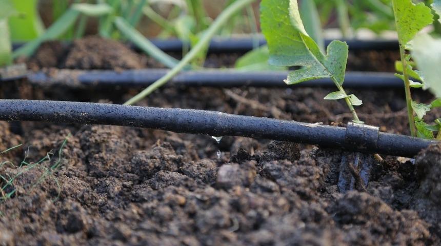 Yağmur suyu Kadıköy’e hayat verecek