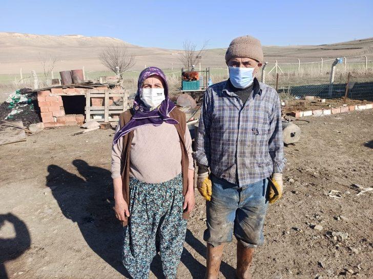 Koyunları yanan Ayşe Teyzenin gözyaşları yürekleri burktu G1