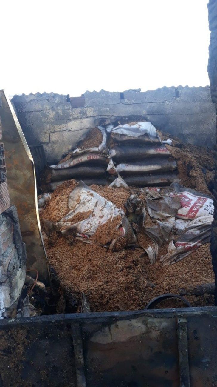 Koyunları yanan Ayşe Teyzenin gözyaşları yürekleri burktu G3