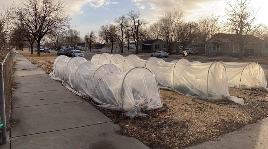 ABD’de bir adam evsizleri ön bahçesinde yaşamaları için davet etti