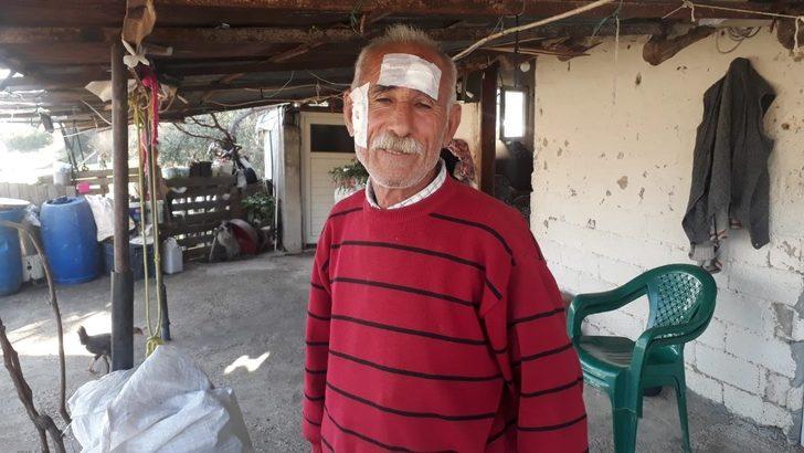 Seralarını kontrol ederken maganda kurşunuyla başından yaralandı G1