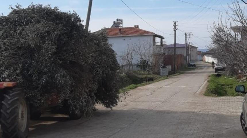 Burhaniye’de bir mahalleye kısmi karantina