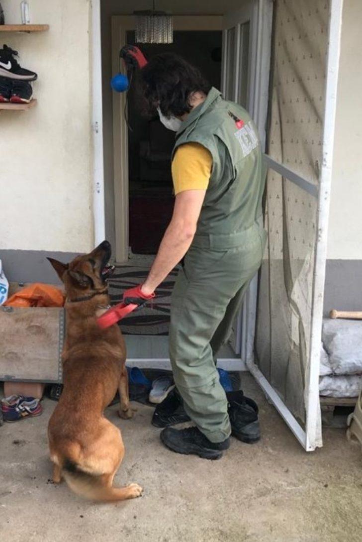 Zehir tacirlerine şafak operasyonu: 15 gözaltı G2