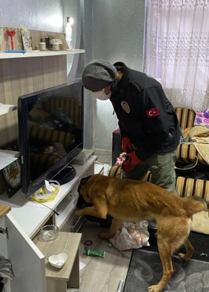 Zehir tacirlerine şafak operasyonu: 15 gözaltı G3