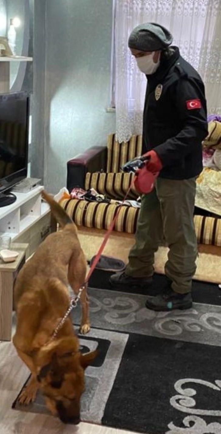 Zehir tacirlerine şafak operasyonu: 15 gözaltı G4