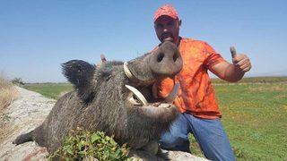 Ünlü avcı Selçuk Poslu, Çivril'de dev domuzu avladı