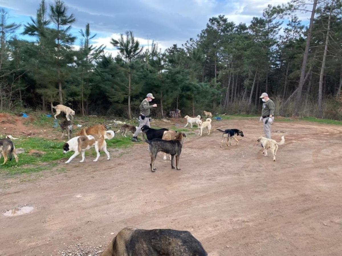Sakarya polisi şehrin d&ouml;rt bir yanında