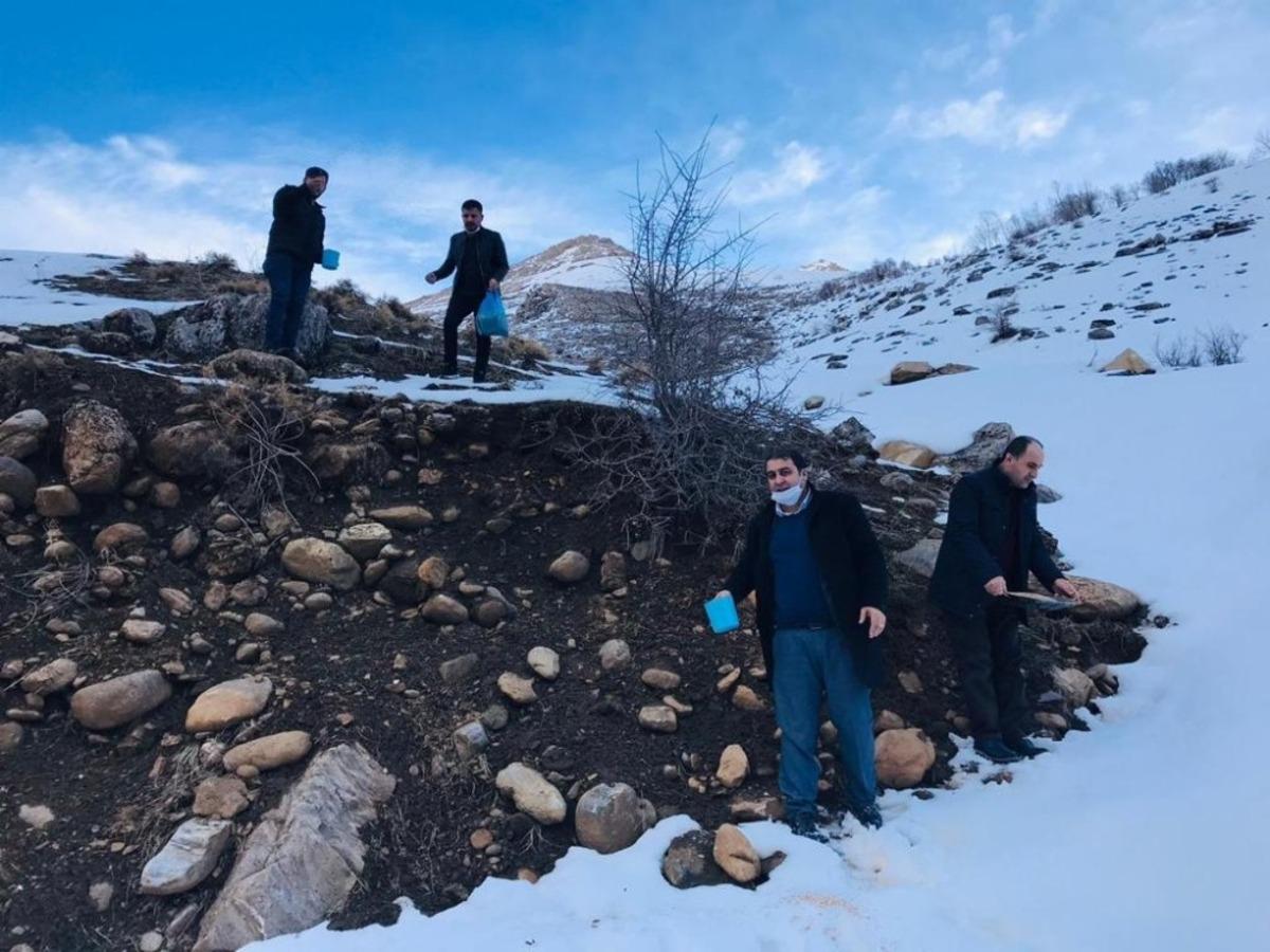 AK Parti heyetinden yaban hayatı i&ccedil;in doğaya yem