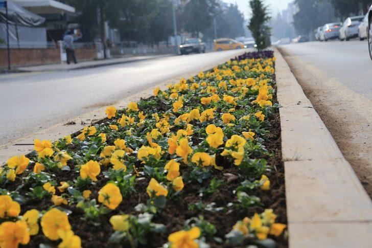 Pamukkale Belediyesi süs bitkilerini kendi yetiştiriyor G4