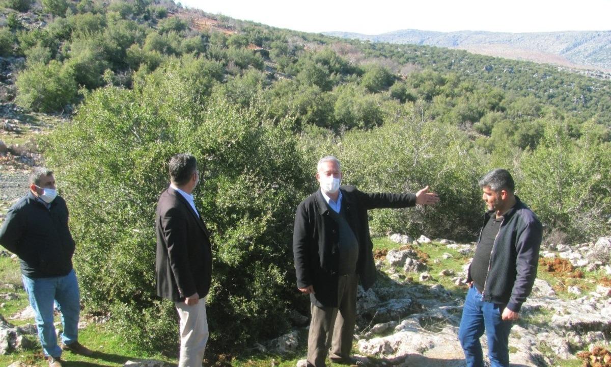 850 d&ouml;n&uuml;ml&uuml;k meşe ormanı i&ccedil;in itfaiye yolu talebi