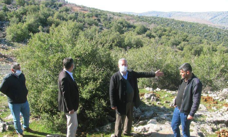 850 dönümlük meşe ormanı için itfaiye yolu talebi G1