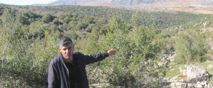 850 dönümlük meşe ormanı için itfaiye yolu talebi G3