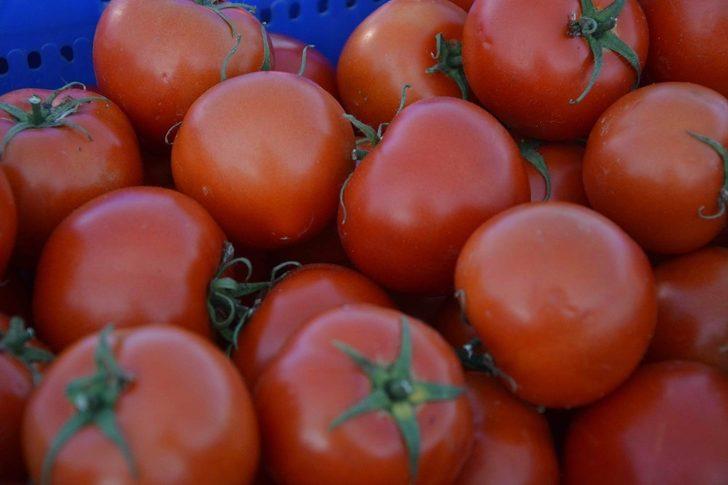 Ortaca’da örtü altı üretimde yaşanan çiçeklenme sorunu masaya yatırıldı G2