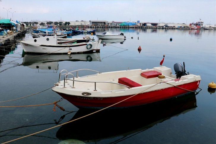 Samsun'da kısmi yasak sonrası yeniden avlanan hamsi tezgahlarda 25 liradan satılıyor G1