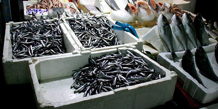 Samsun'da kısmi yasak sonrası yeniden avlanan hamsi tezgahlarda 25 liradan satılıyor G2