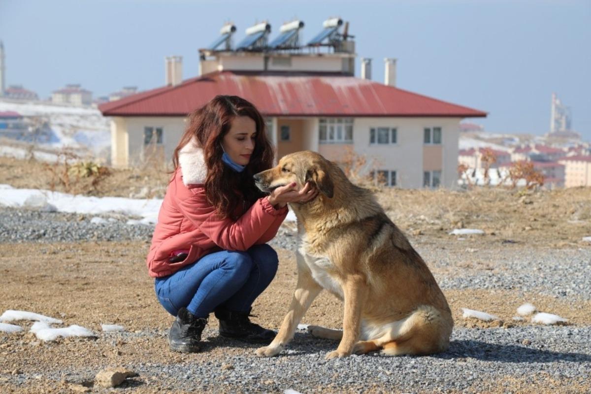 Kısıtlamada sokak hayvanları unutulmadı