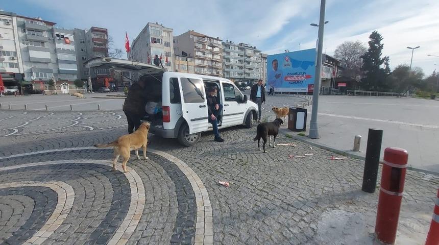 Polisler kısıtlamada sokak hayvanlarını besledi