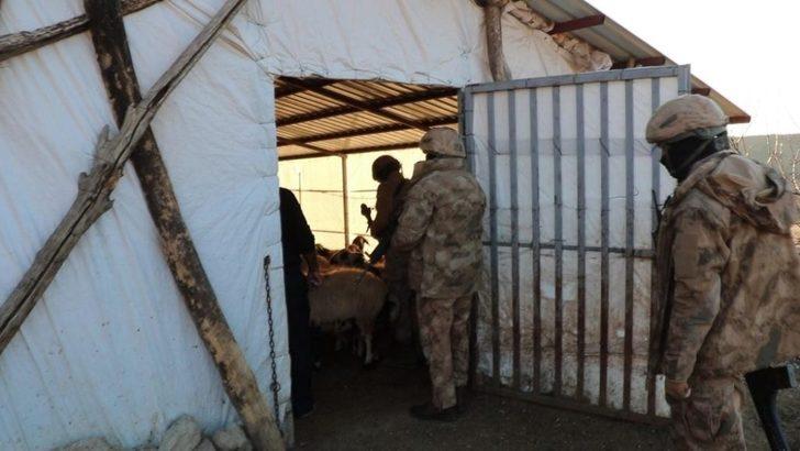 Diyarbakır’da Tırpan-2 uyuşturucu operasyonu: 16 gözaltı G4