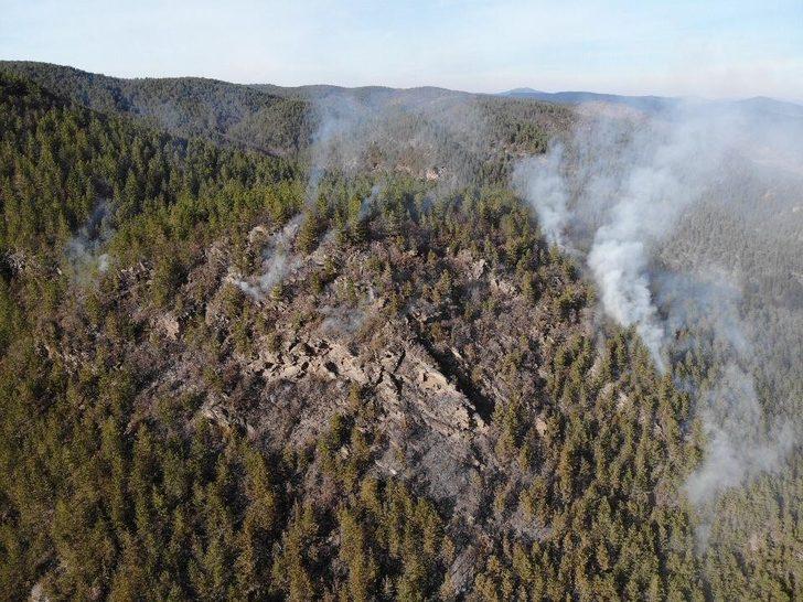 Taşköprü ve Boyabat sınırında 2 ayrı orman yangını G1