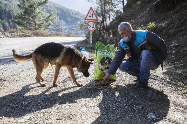 Kısıtlamada zorlu kış şartlarındaki hayvanlar unutulmadı G2