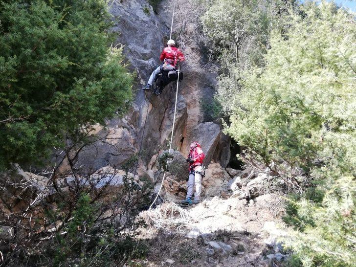 Bacağı kırık keçi, mahsur kaldığı kayalıklardan AKUT ekiplerince kurtarıldı G1