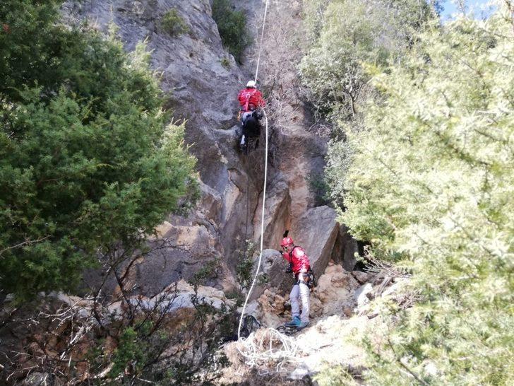 Bacağı kırık keçi, mahsur kaldığı kayalıklardan AKUT ekiplerince kurtarıldı G2