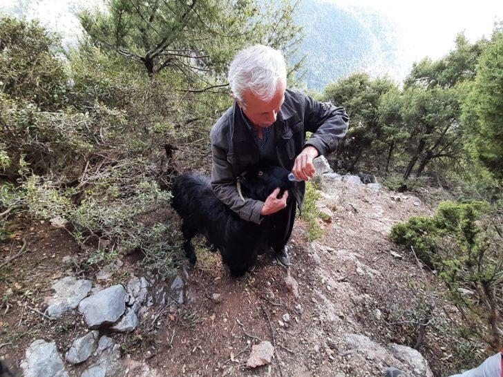 Bacağı kırık keçi, mahsur kaldığı kayalıklardan AKUT ekiplerince kurtarıldı G3