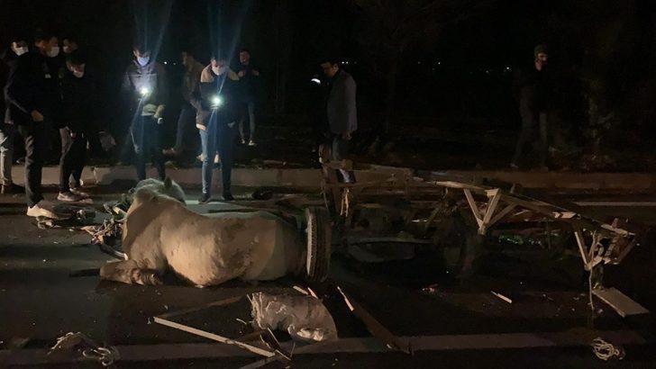 Otomobilin çarptığı at arabasının sürücüsü öldü, at yaralandı G3