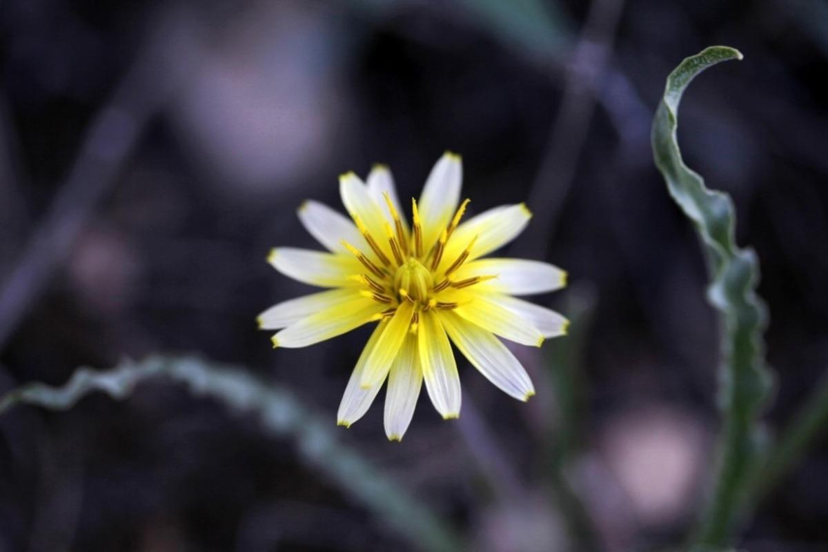 &Uuml;nal&rsquo;dan sanal fotoğraf sergisi